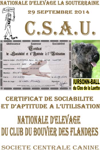 IURSONN du Clos de la Luette CSAU © Elevage du Clos de la Luette Copyrigth dépose